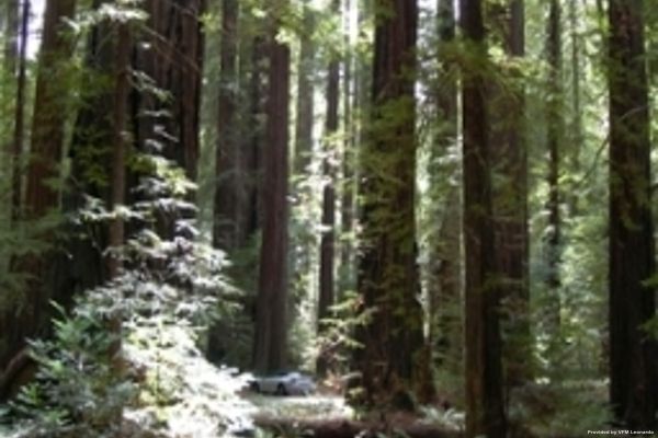 The Redwood Riverwalk Hotel (Fortuna)